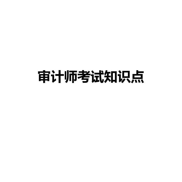 审计师考试知识点 复习备考资料 PDF电子版